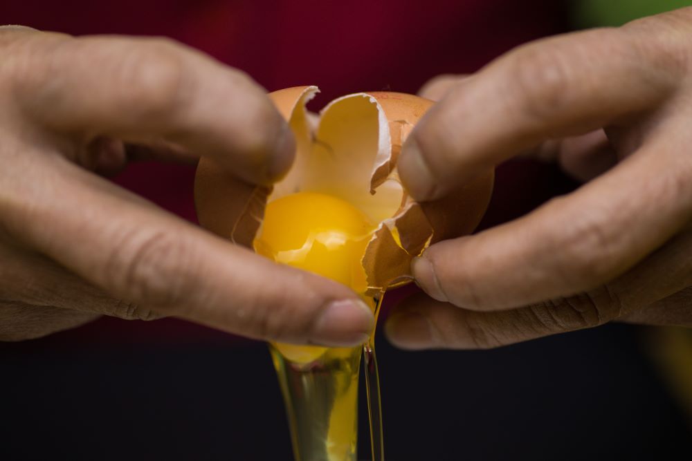 Close-up of a person cracking an egg