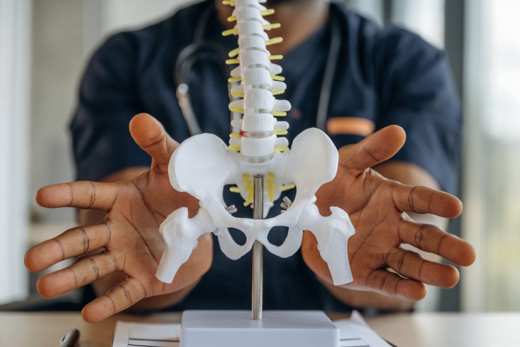 Model of human skeleton, focus at pelvic region. Man behind with hands open. Deep Healing from the Transformative Power of Male Sensual Erotic Massage.