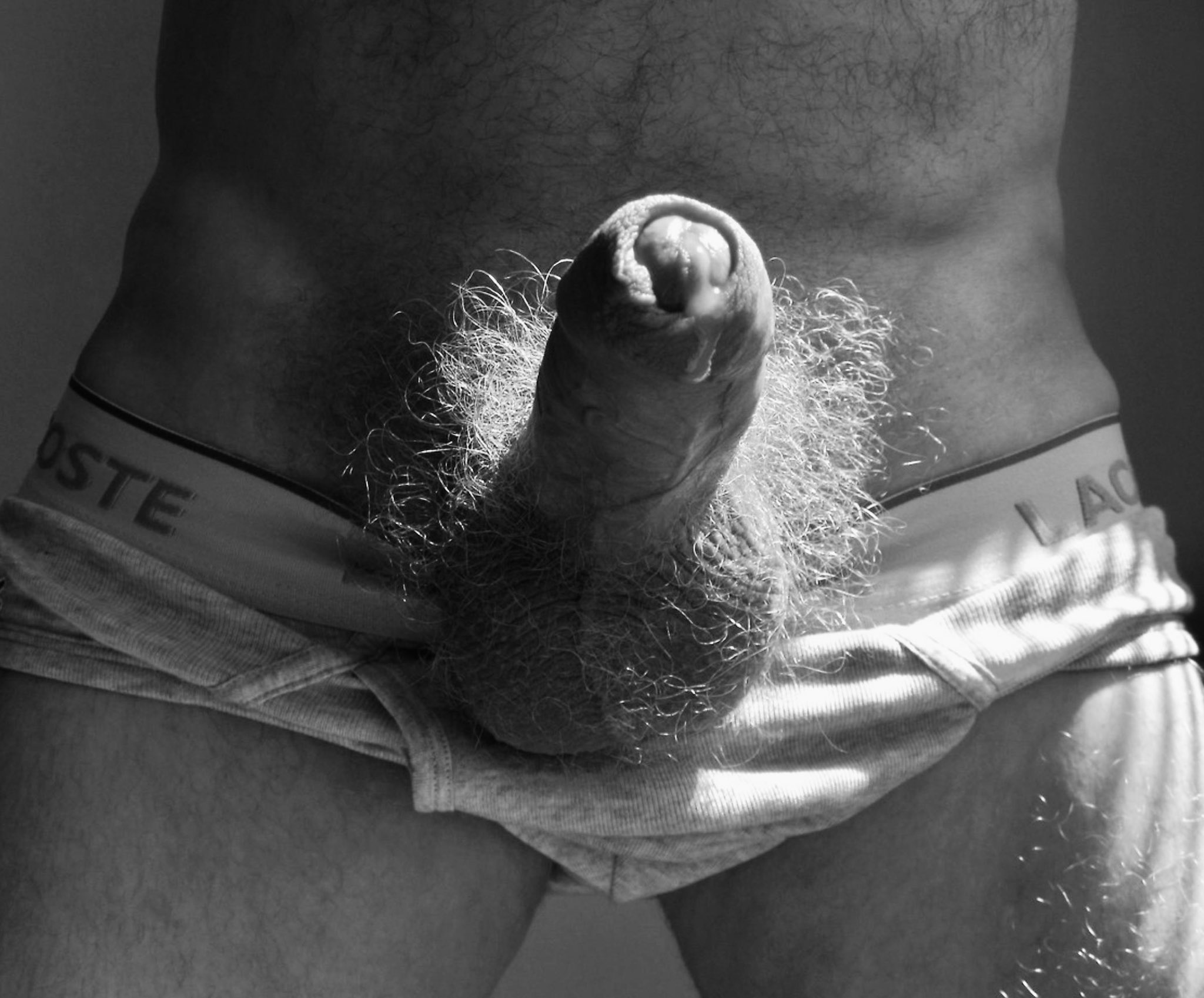Close up of an erect penis dripping cum. Concept that erotic massage enhances erections. 